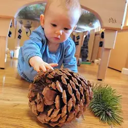 Infant Toddler Care